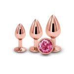 Rear Assets - Trainer Kit - Rose Gold - Image 3