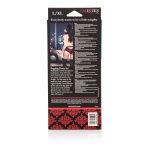 Scandal Pegging Panty L/xl - Image 3