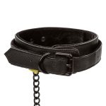 Boundless Collar & Leash - Image 4