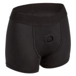 Her Royal Harness Boxer Brief - S/m - Image 5