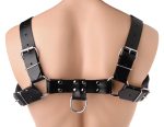 English Bull Dog Harness