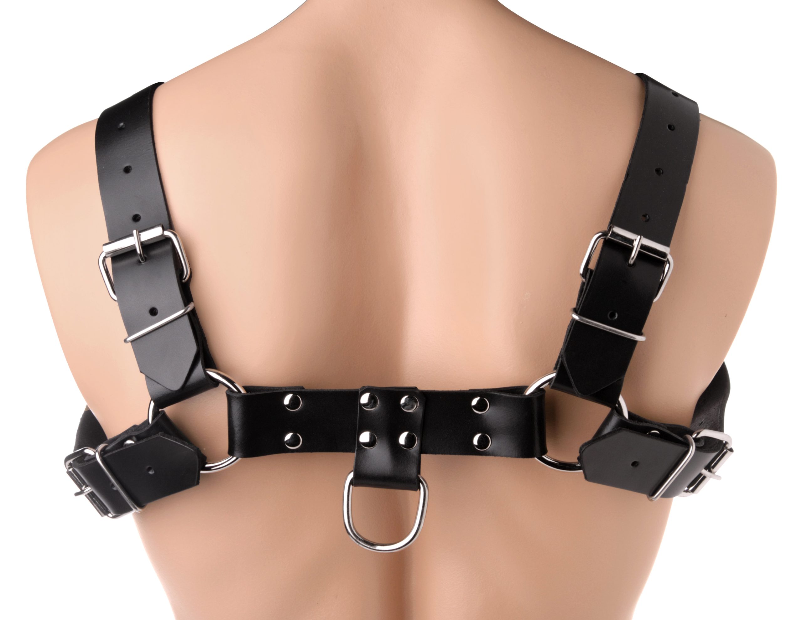 RVP7qqHNBzSanaGdwwCCOshNLxQzrQF6 English Bull Dog Harness - Image 1