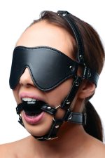 Blindfold Harness and Ball Gag - Image 3