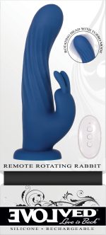 Remote Rotating Rabbit - Image 5