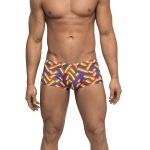 Pride Fest - Mini Short - Small - Print