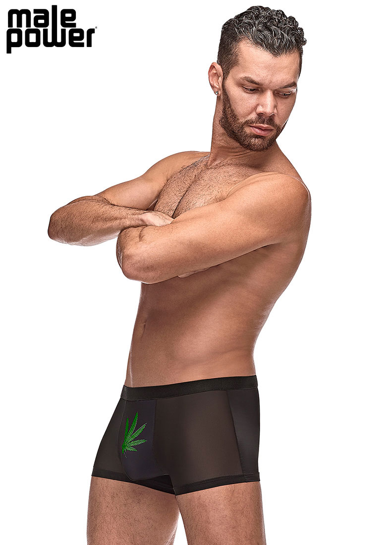 Tj5lc6YvcNIKDti0y4gYEe7HhBJ1v7GO Private Screening Pot Leaf Pouch Short Black - Image 1