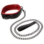Saffron Collar and Leash - Image 2