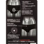 Her Royal Harness Backless Brief - S/m