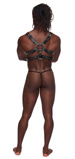 Gemini Leather Harness - One Size - Black - Image 4