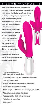 Wings of Desire - Image 2