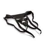Her Royal Harness - the Queen - Image 3