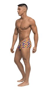 Pride Fest - Mini Short - Large - Print - Image 2