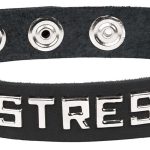 Sm Collar - Mistress