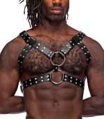Gemini Leather Harness - One Size - Black - Image 3
