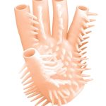 Masturbating Glove - Flesh