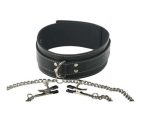 Coveted Collar and Clamp Union - Image 3