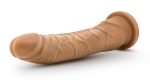 Dr. Skin Silicone - Dr. Noah - 8 Inch Dong With Suction Cup - Mocha - Image 2