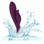 Obsession - Desire - Purple - Image 9