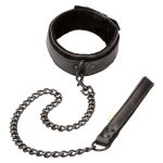 Boundless Collar & Leash - Image 6
