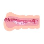 Crazy Bull Vagina Masturbator - Image 4