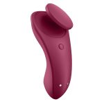Sexy Secret - Panty Vibrator - Image 7