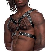 Gemini Leather Harness - One Size - Black - Image 2