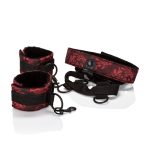 Scandal Collar Body Restraint - Image 4