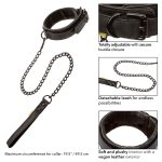 Boundless Collar & Leash - Image 7