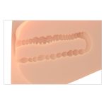 Pdx Plus Ez Bang Torso - Light - Image 6