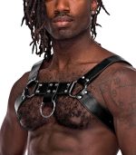 Aries Leather Harness - One Size - Black - Image 2