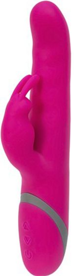 Commotion - Cha Cha Raspberry - Image 2