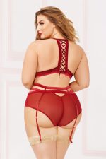 Applique & Mesh Bra Set - 1x2x - Burgundy