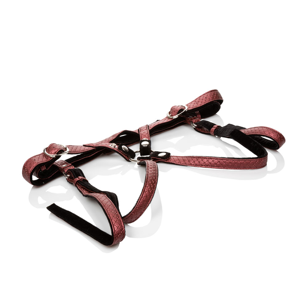 rT6VaxLKH1DrqN1OnmV3pSmmWBIBAqjG Her Royal Harness the Regal Duchess - Red - Image 1