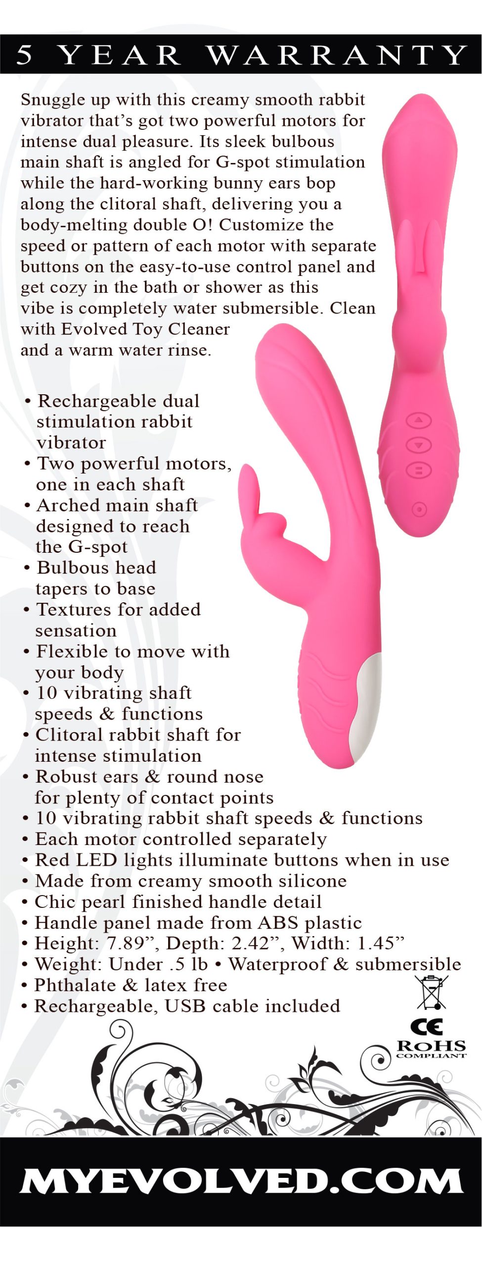 reXae1PCWxV8H7PuYSvtp9TOxv5gv6l2 Bunny Kisses - Image 1