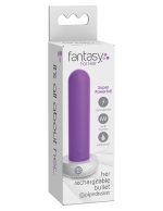 Her Rechargeable Bullet