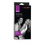 Starter Playful Lover's Kit - Image 4